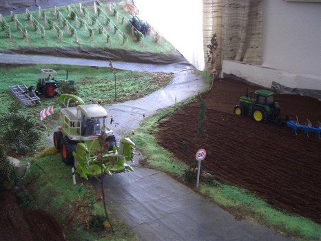 ../Images/CIMG4108 (Large).jpg